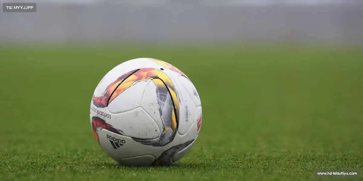 雷速体育比分直播——🚵山地越野，踏石留印！